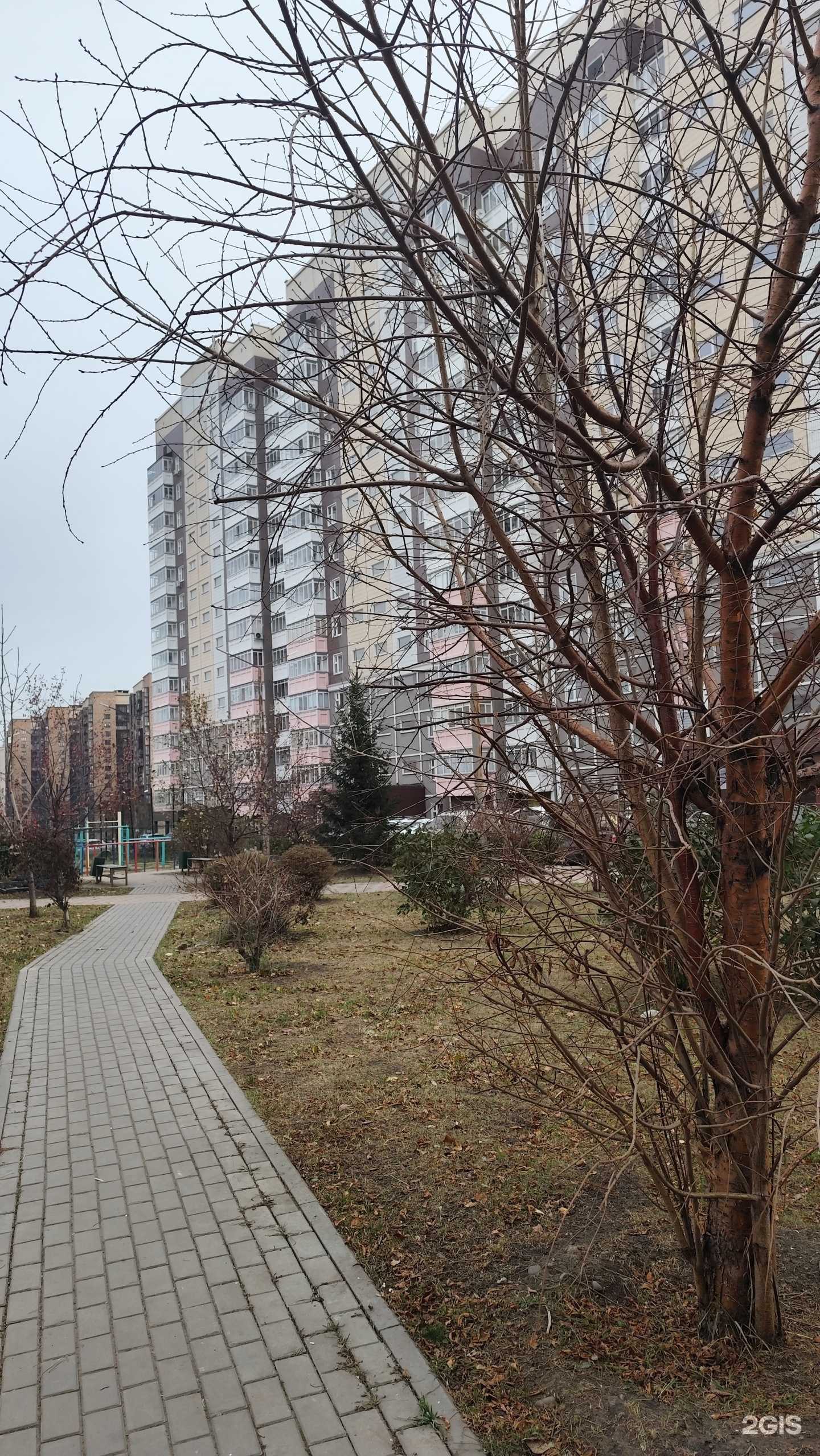 Отзывы на компанию Дую шарик в Красноярске c фото - фотография 2 из 2