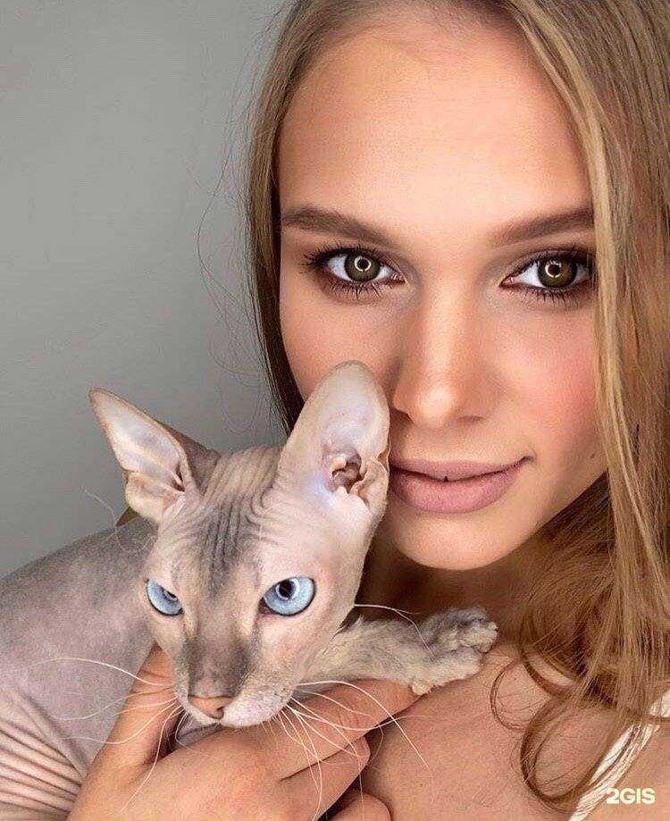 Отзывы на компанию Anatomy в г. Миасс c фото