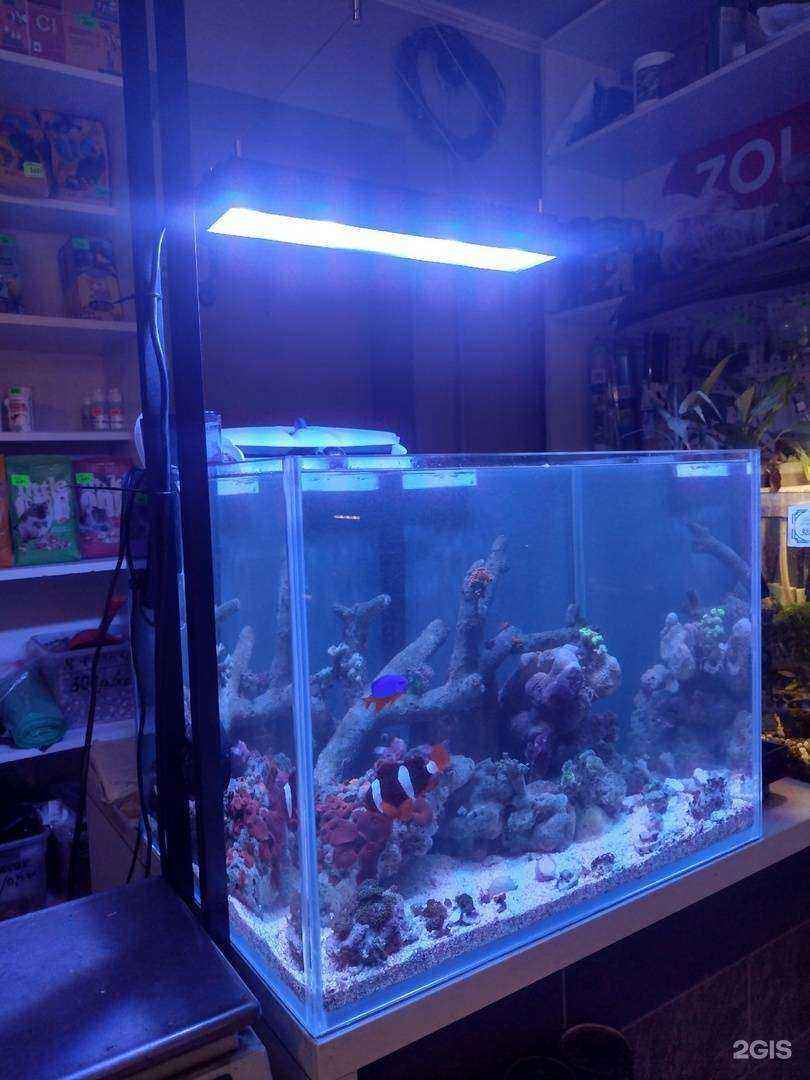 Отзывы на компанию Olegator в Саратове c фото