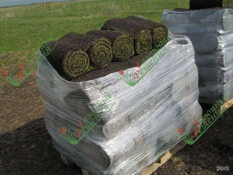 Отзывы на компанию Газонные решения в г. Магнитогорск c фото