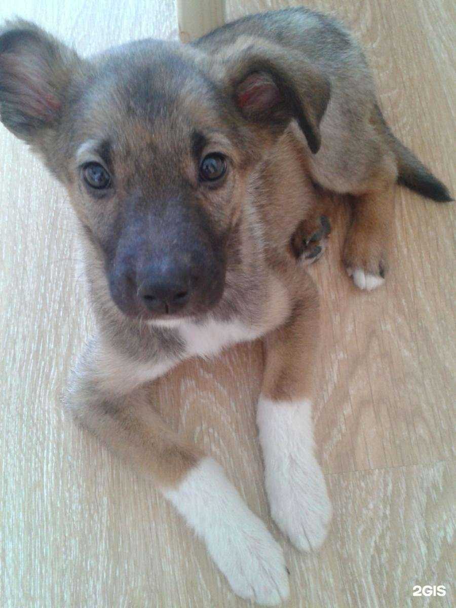 Отзывы на компанию Заповедник в Екатеринбурге c фото