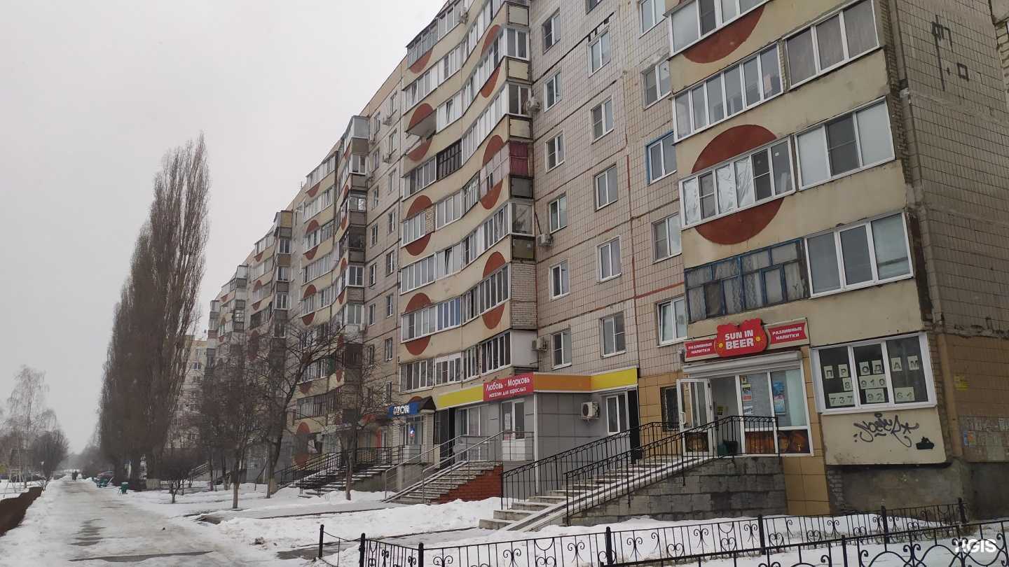 Отзывы на компанию Любовь-морковь в Старом Осколе c фото - фотография 2 из 2