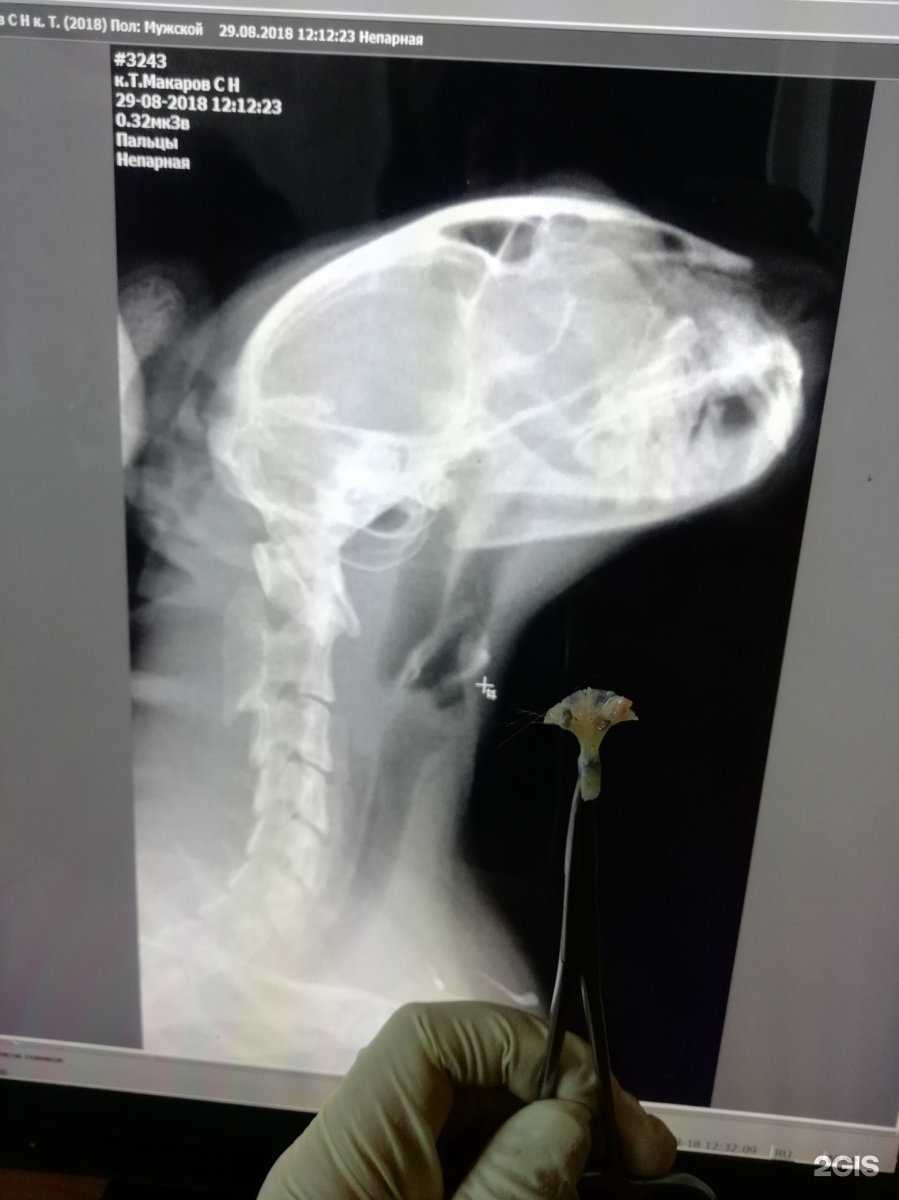 Отзывы на компанию Государственное ветеринарное управление городского округа в г. Нижний Новгород c фото