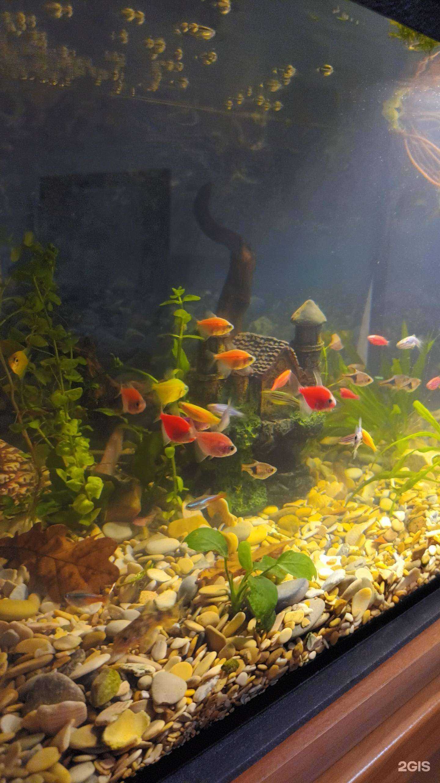 Отзывы на компанию Акватория в Ярославле c фото