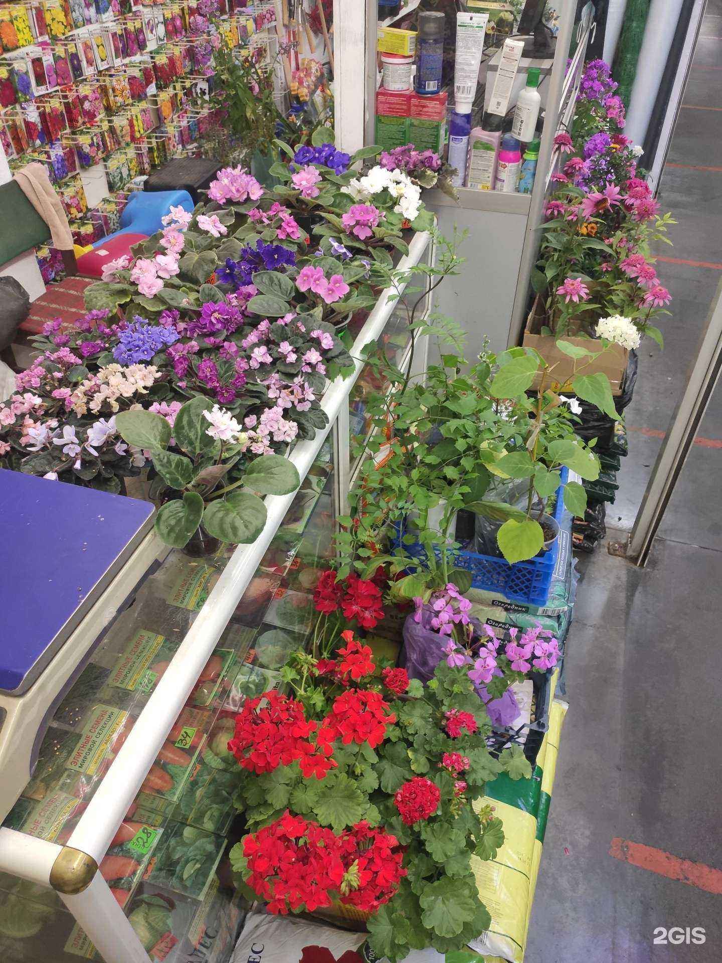 Отзывы на компанию Семена 1000 в Воронеже c фото