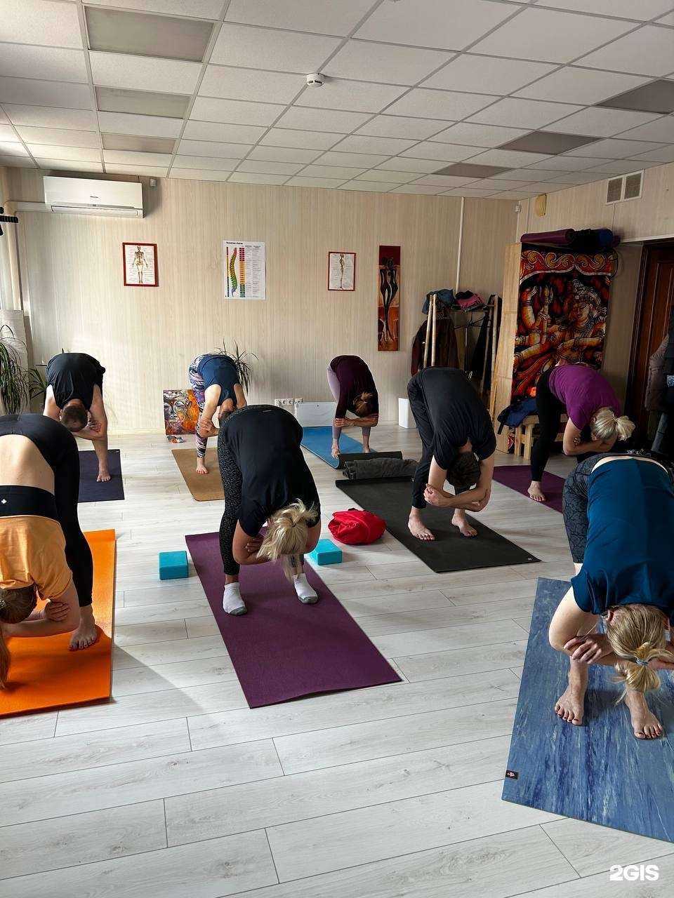 Отзывы на компанию Практика в Новосибирске c фото