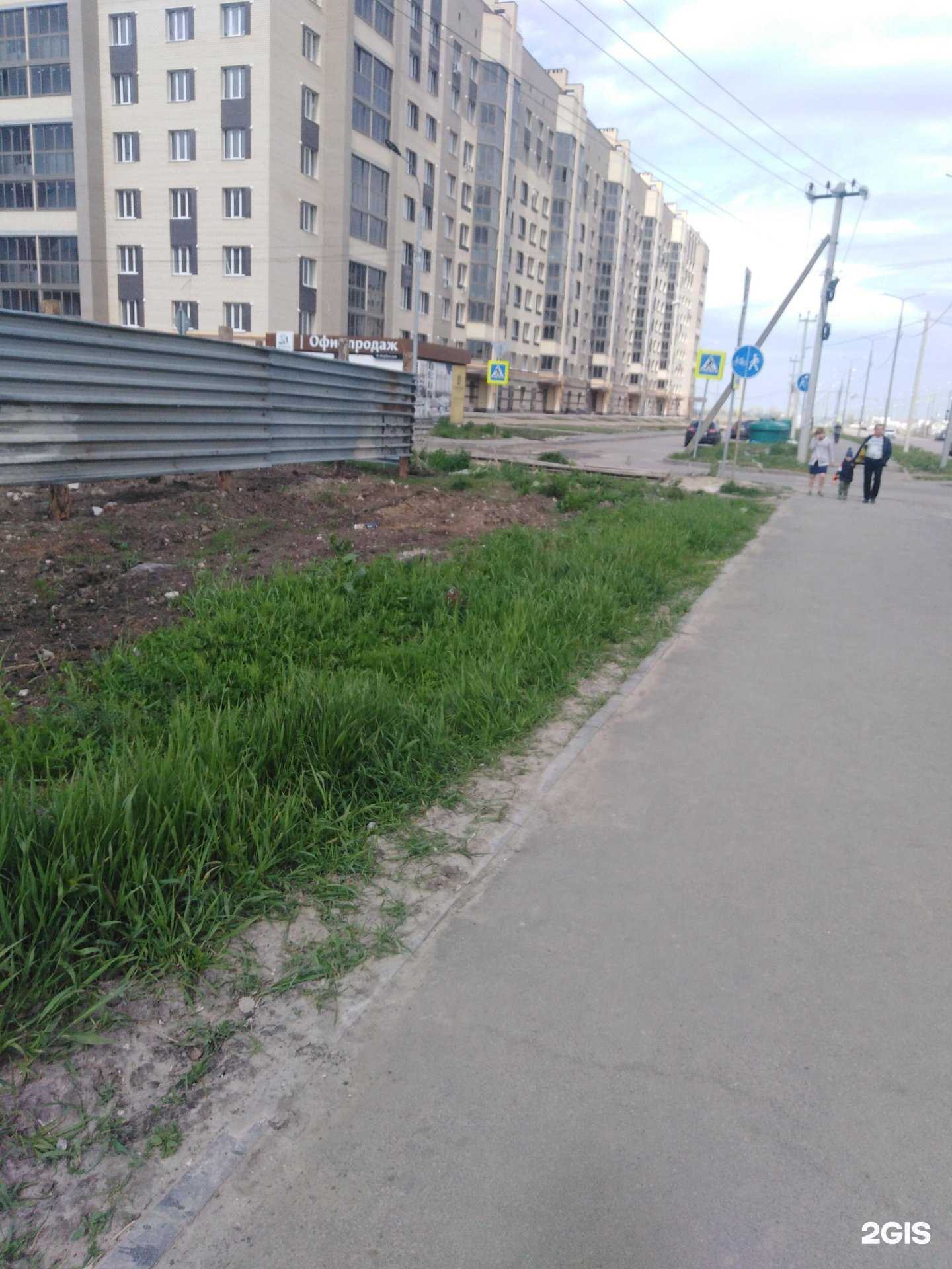 Отзывы на компанию ЦветТорг в Тамбове c фото - фотография 2 из 2