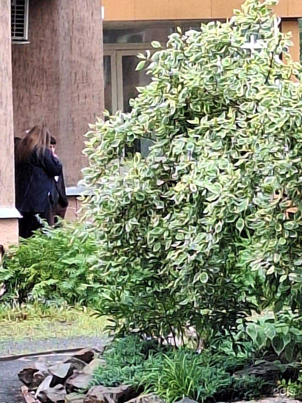 Отзывы на компанию Юридическая компания  в Кемерове c фото - фотография 2 из 2