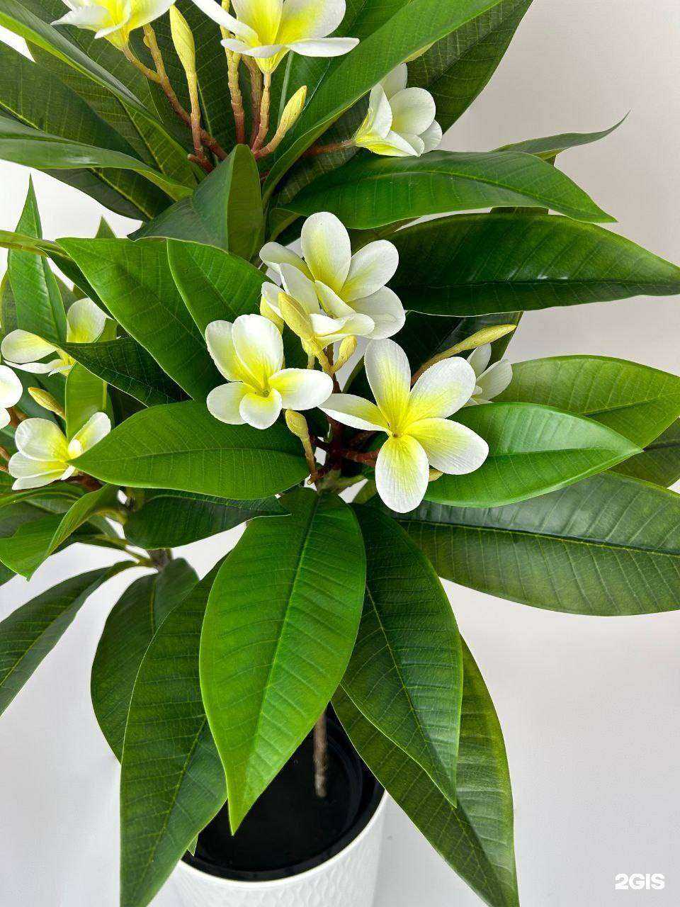 Отзывы на компанию Crazy green в г. Томск c фото