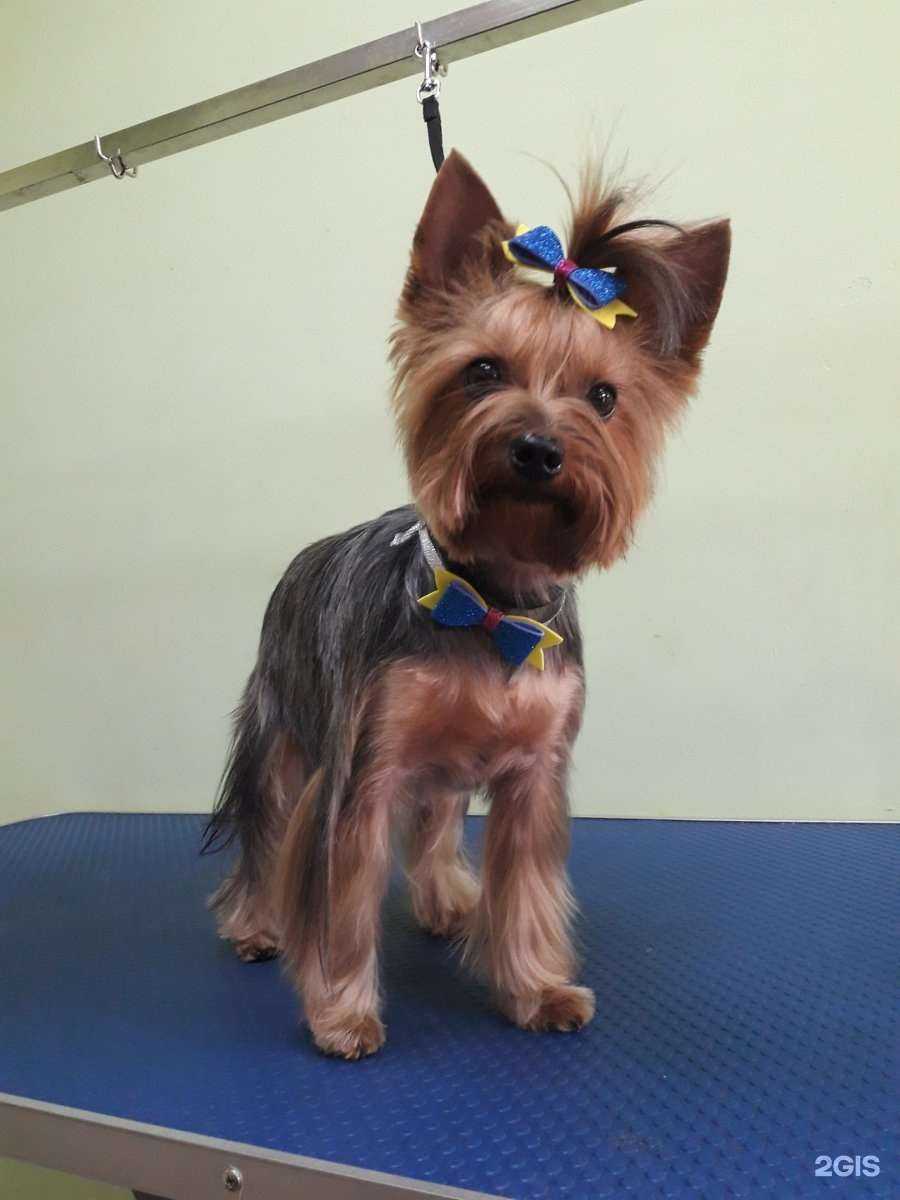 Отзывы на компанию Артемон в г. Архангельск c фото