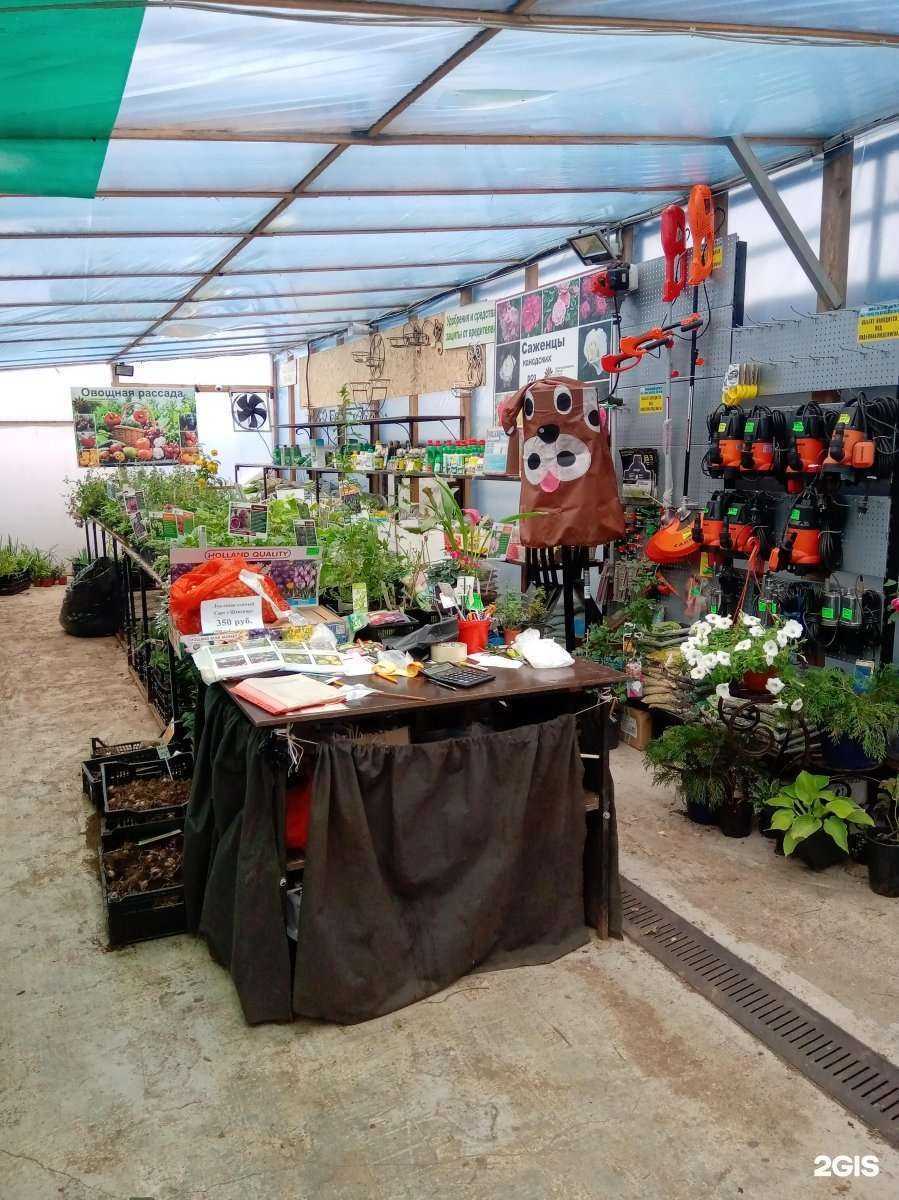 Отзывы на компанию Рассада на Висиме в Перми c фото