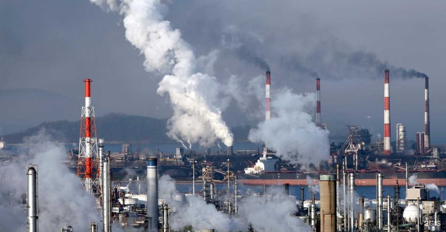 Отзывы на компанию Техноэколог в г. Ростов-на-Дону c фото