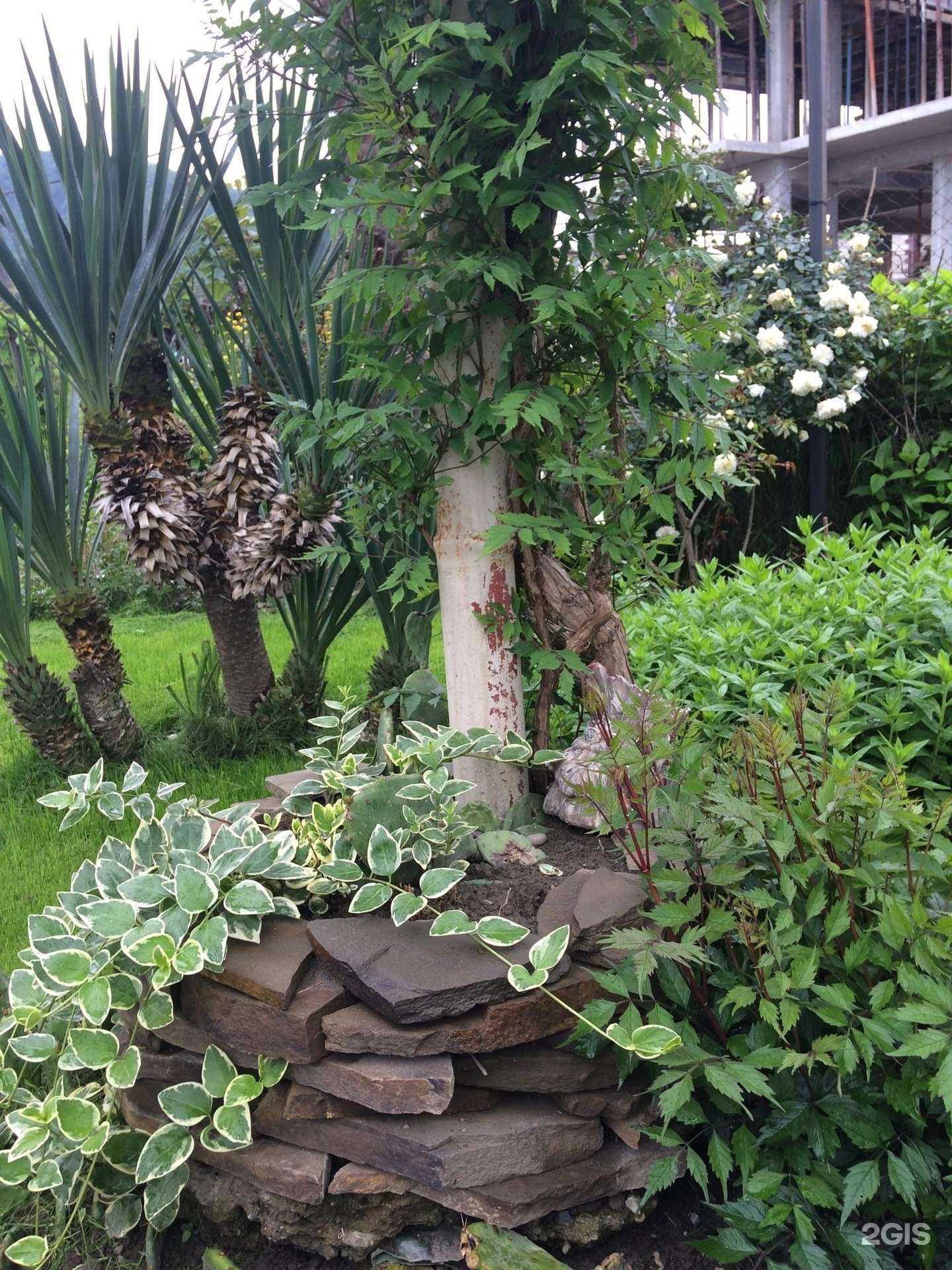 Отзывы на компанию Romantis в Сочи c фото