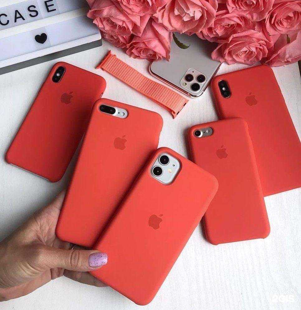 Отзывы на компанию Pronto в Волгограде c фото