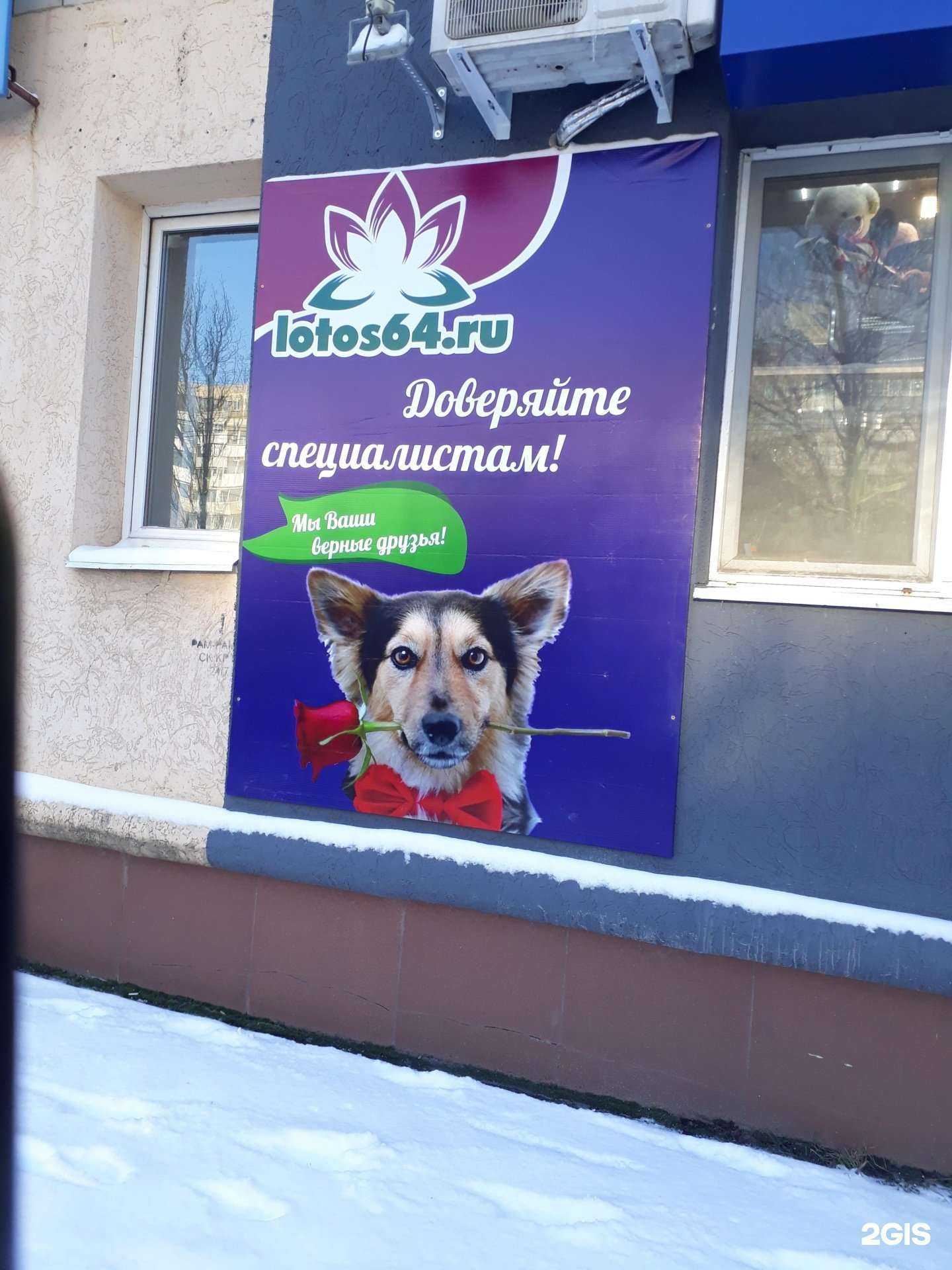 Отзывы на компанию lotos64.ru в г. Энгельс c фото