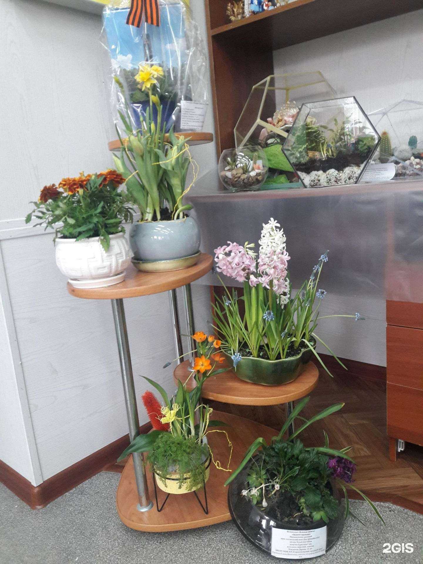 Отзывы на компанию Центр эколого-биологического образования в г. Старый Оскол c фото