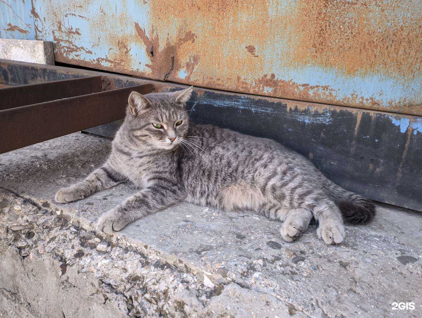 Отзывы на компанию Lider-global в Махачкале c фото - фотография 2 из 2