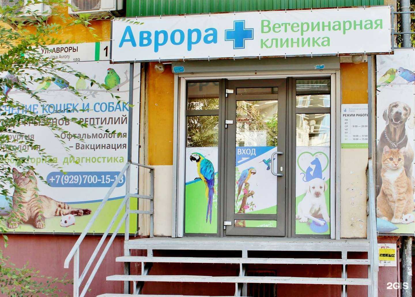 Отзывы на компанию Аврора в Самаре c фото