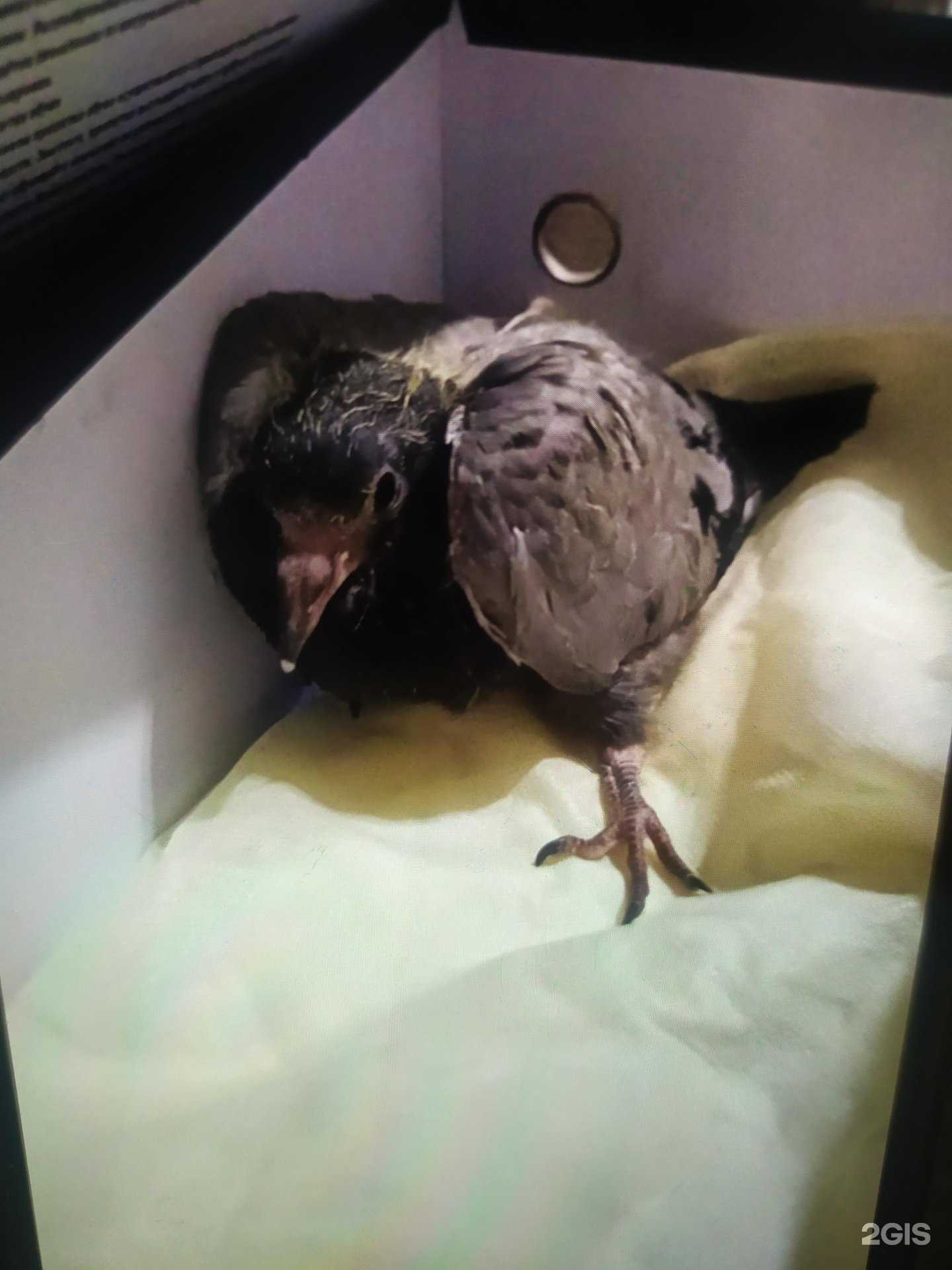 Отзывы на компанию ЭкоКлимат в Астрахани c фото