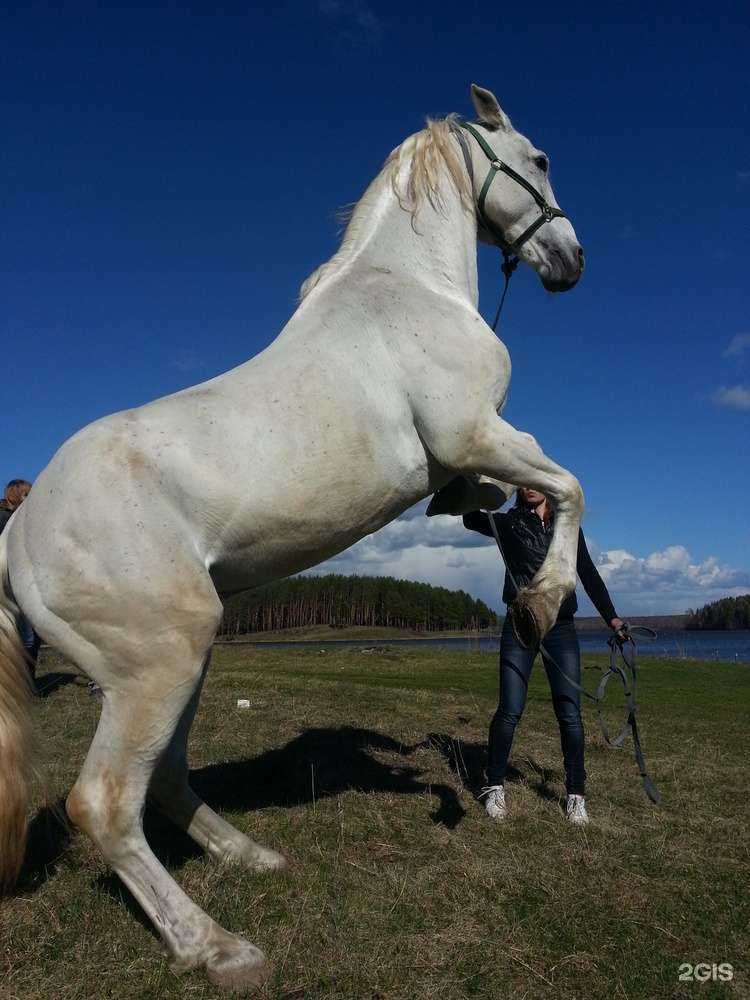 Отзывы на компанию Олимп в Нижнем Тагиле c фото