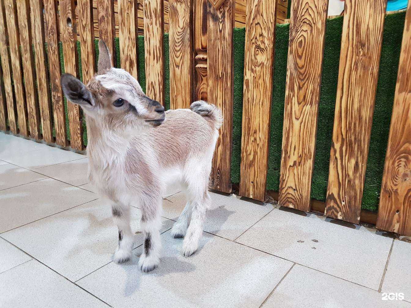 Отзывы на компанию Лесная братва в Нижнем Тагиле c фото