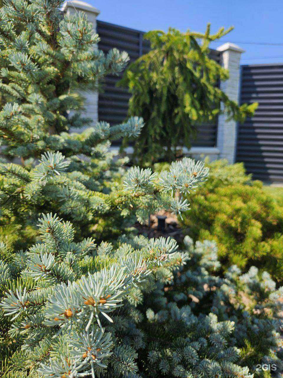 Отзывы на компанию Сады Балтии в Калининграде c фото