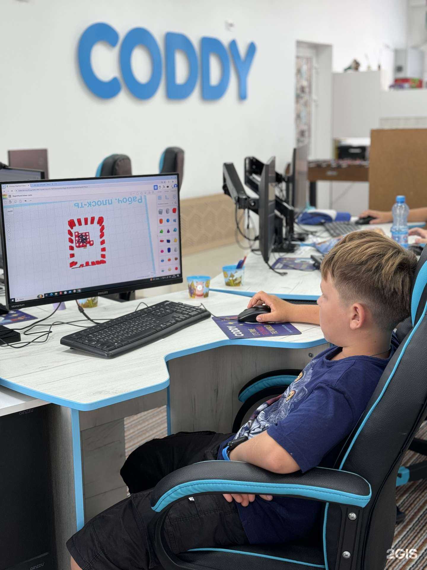 Отзывы на компанию Coddy в Пензе c фото