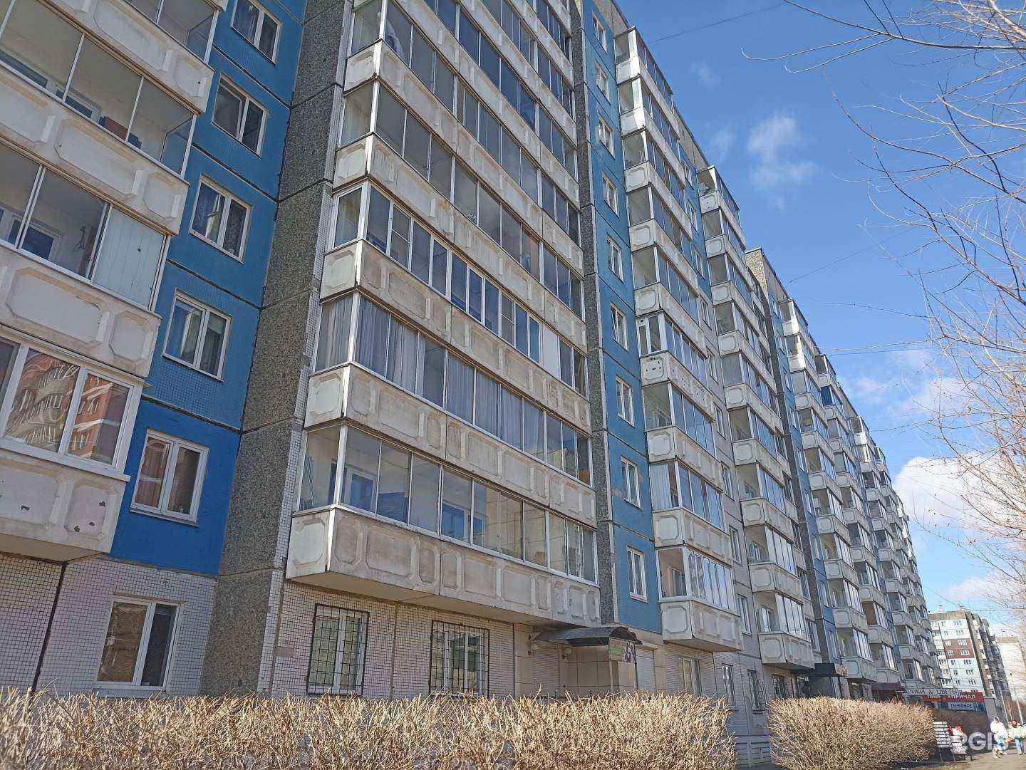 Отзывы на компанию Сибирский лес в Красноярске c фото