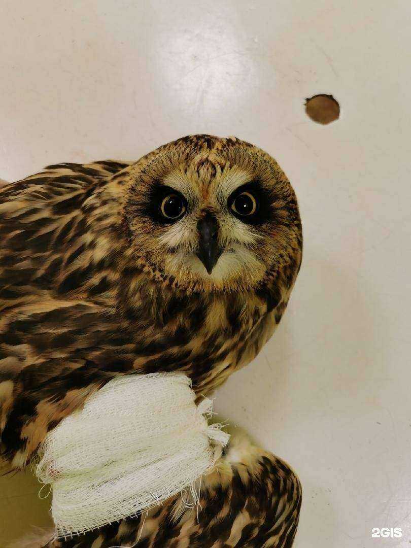 Отзывы на компанию ВетМир в г. Иваново c фото