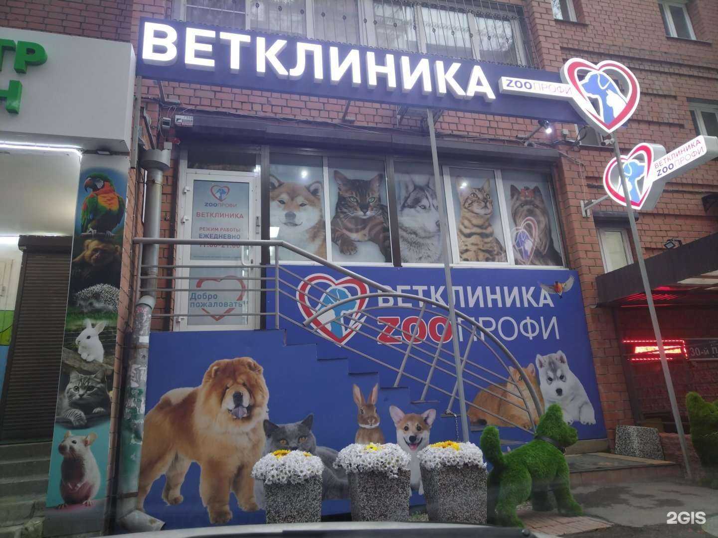 Отзывы на компанию E-Motion в Иркутске c фото - фотография 2 из 2