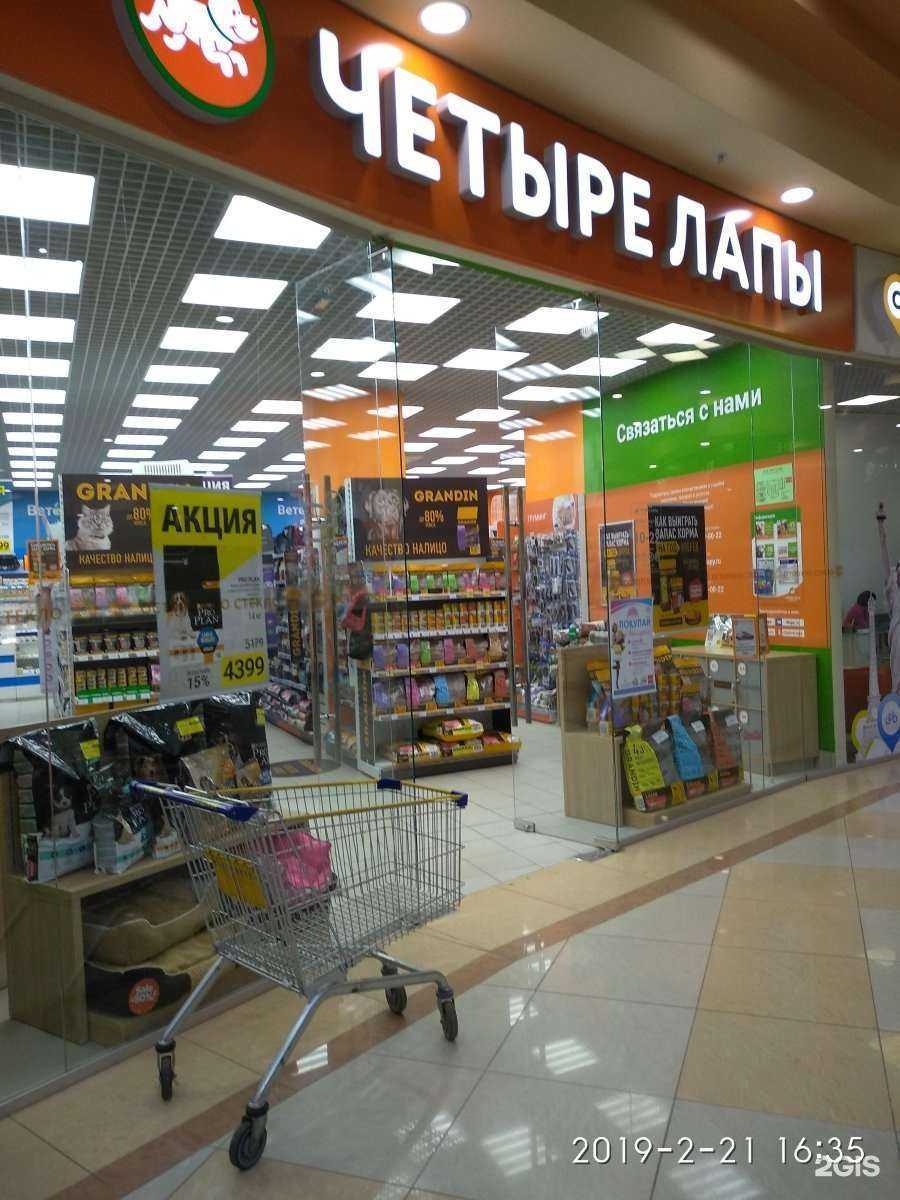 Отзывы на компанию Четыре лапы в Иванове c фото