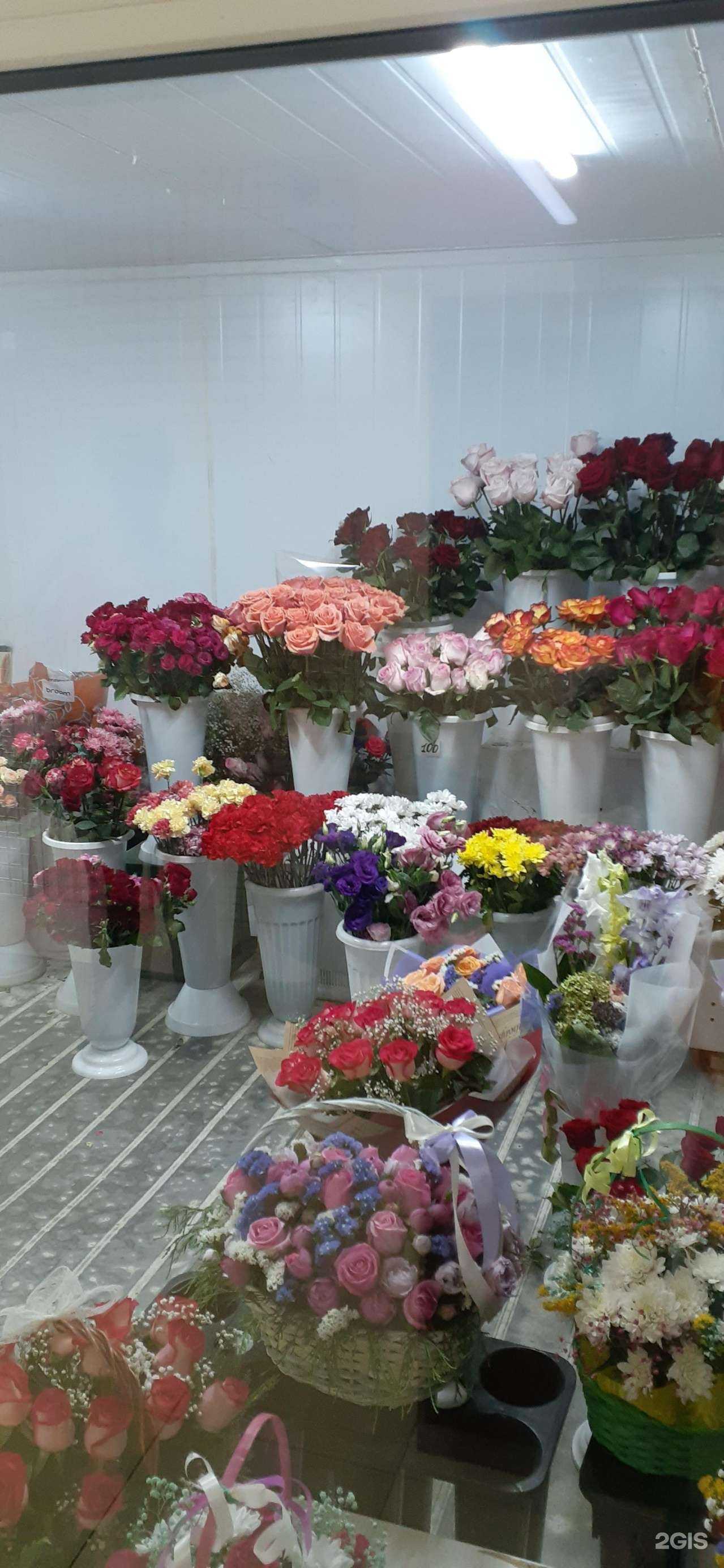 Отзывы на компанию Цветочная оптово-розничная база в Воронеже c фото