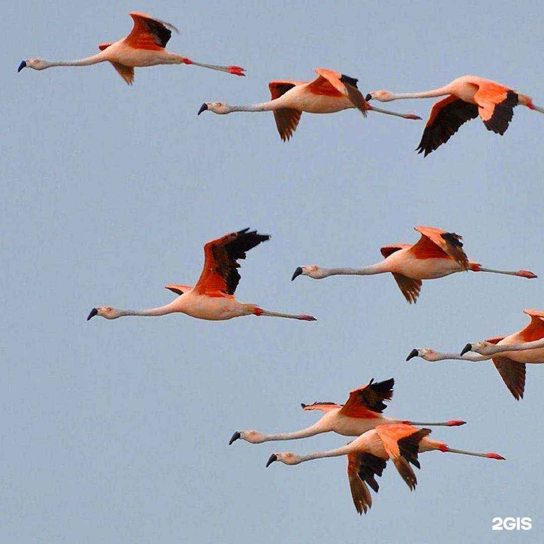 Отзывы на компанию Utrain в г. Курск c фото