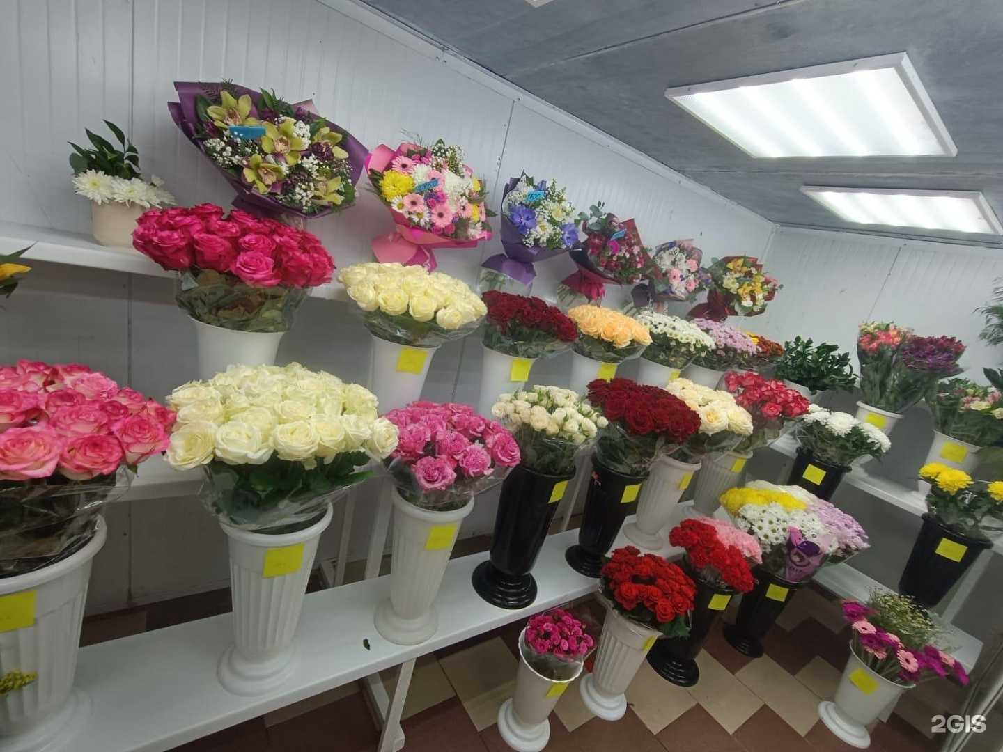 Отзывы на компанию Камелия в г. Щёлково c фото