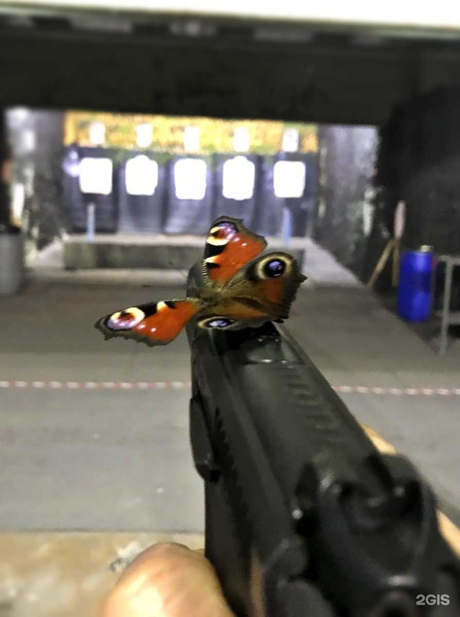 Отзывы на компанию Динамо в Туле c фото - фотография 2 из 2