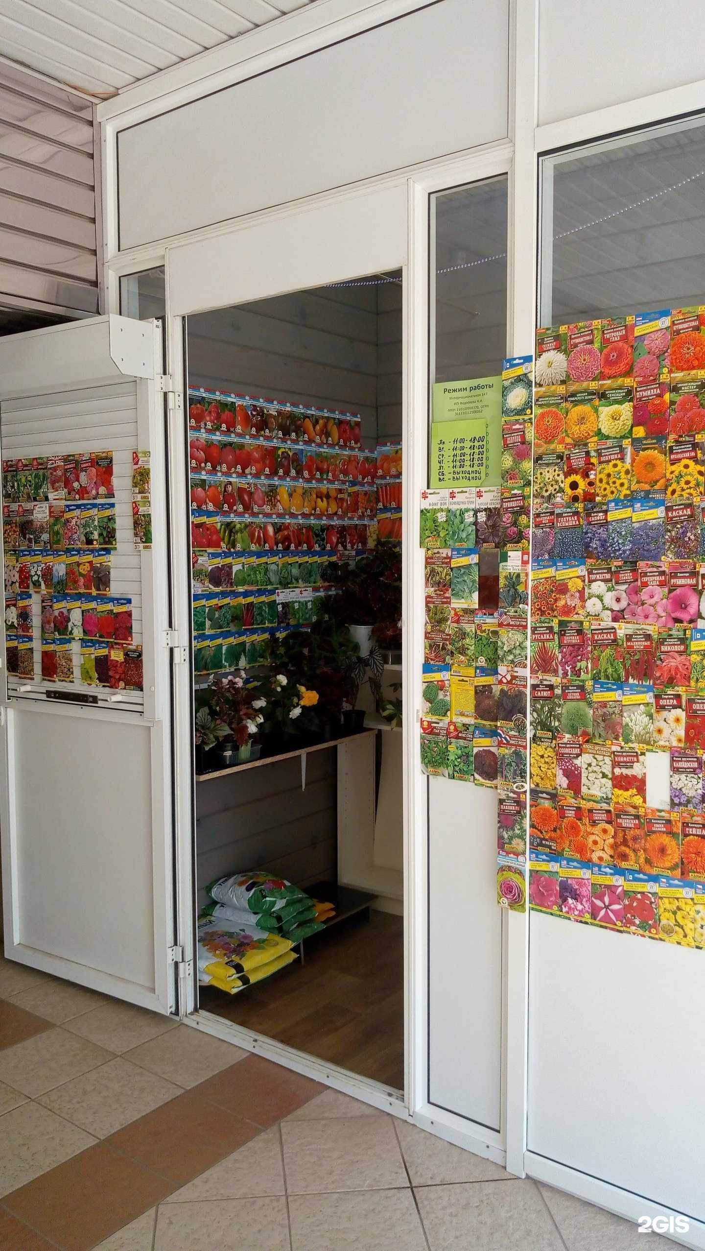 Отзывы на компанию Весна в г. Сыктывкар c фото