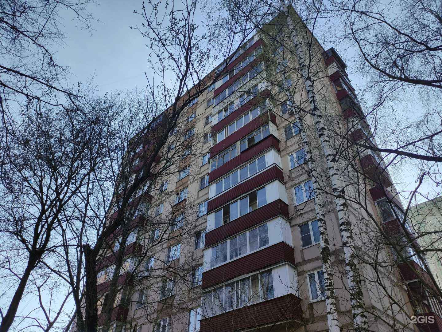 Отзывы на компанию Мясной магазин в г. Красногорск c фото