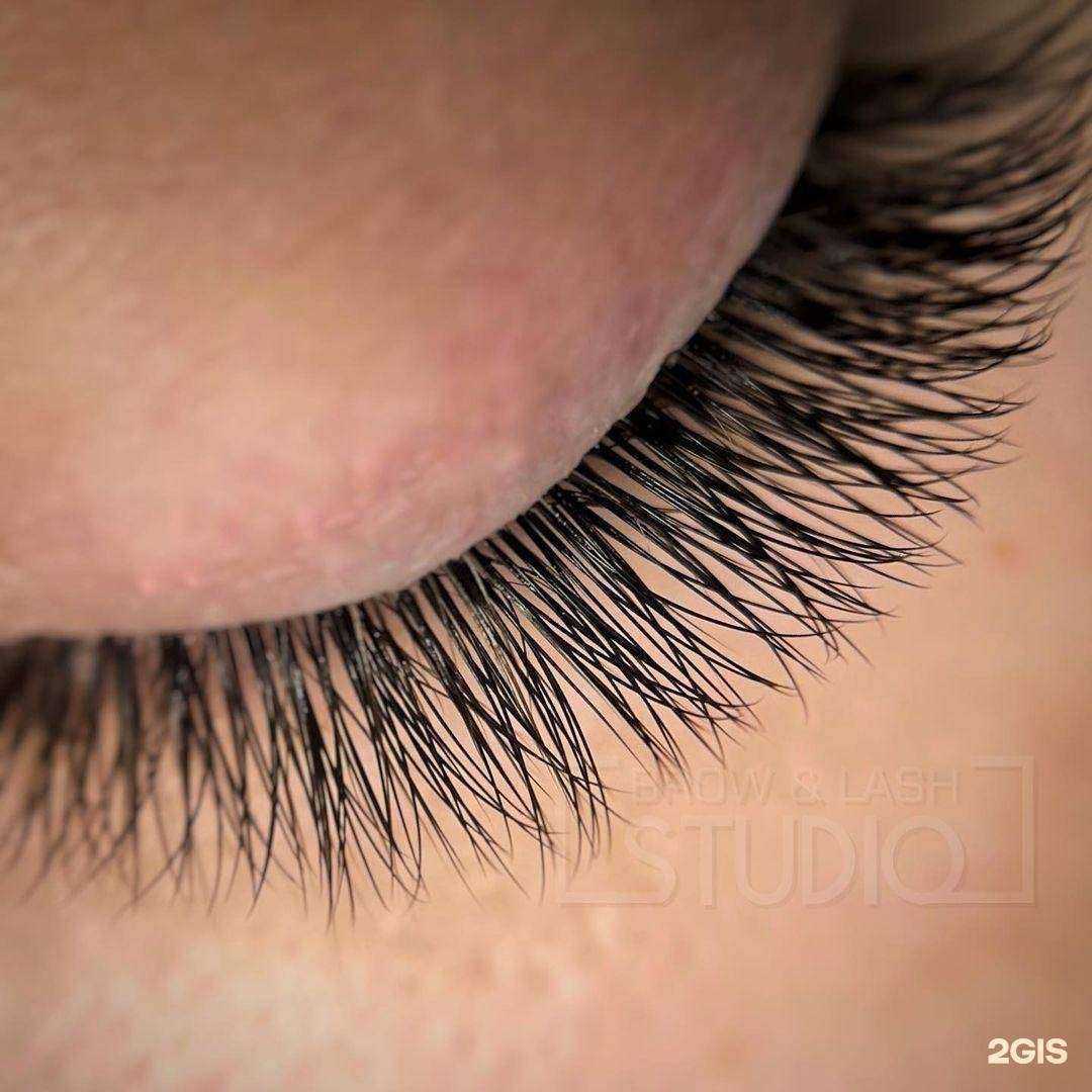 Отзывы на компанию Brow&Lash studio в Воронеже c фото