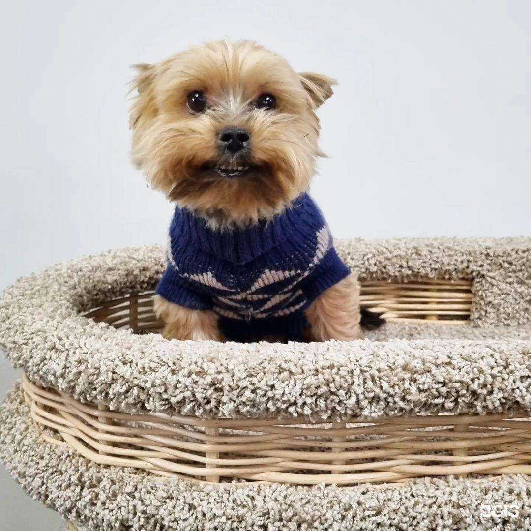 Отзывы на компанию Любимчик в Владивостоке c фото