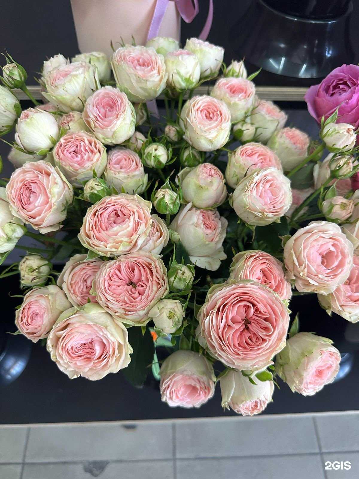 Отзывы на компанию Букетти в Геленджике c фото