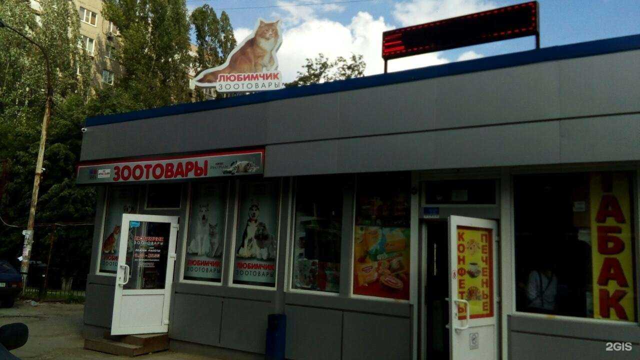 Отзывы на компанию Любимчик в Саратове c фото