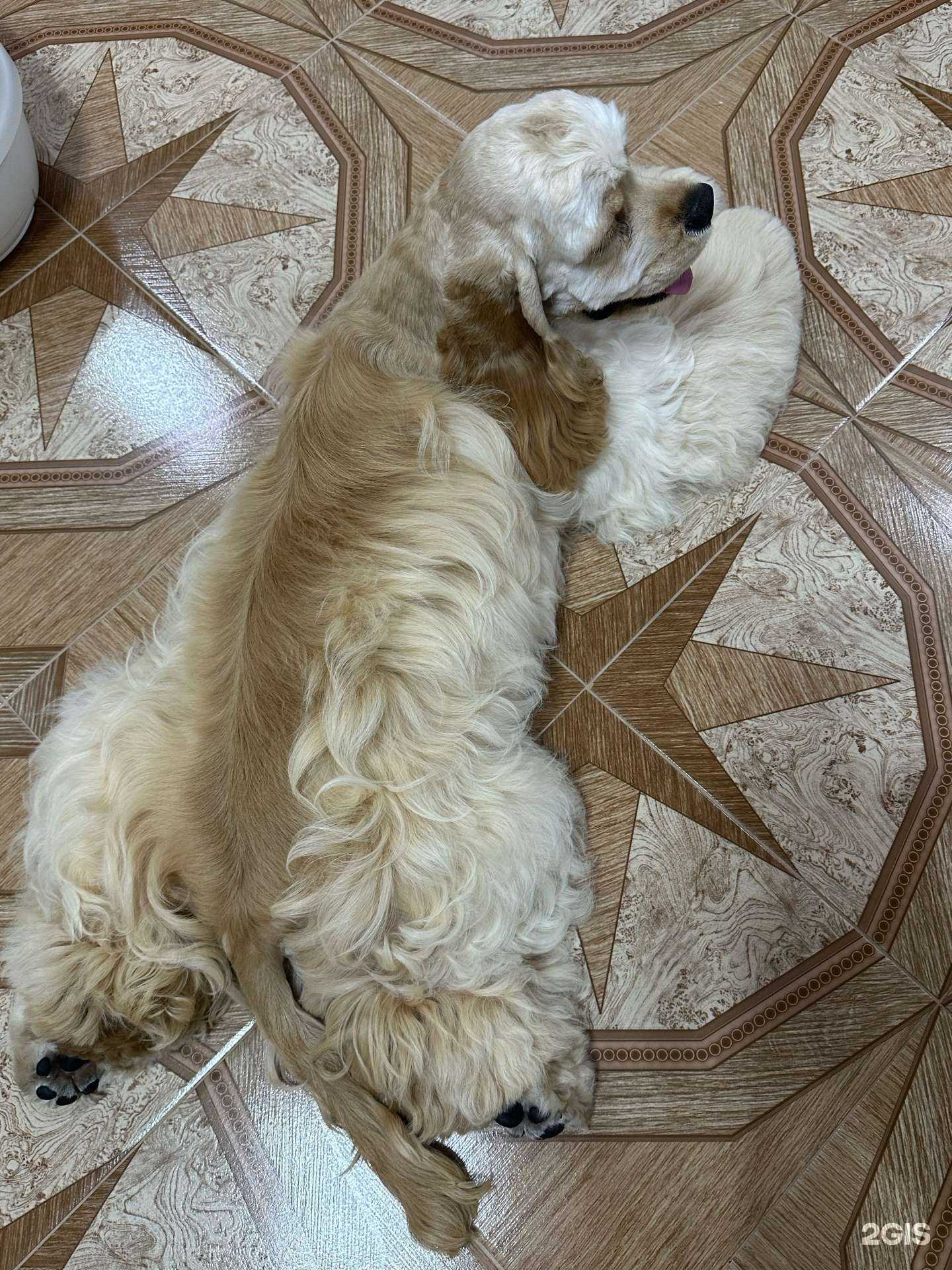 Отзывы на компанию La Morda в Сочи c фото