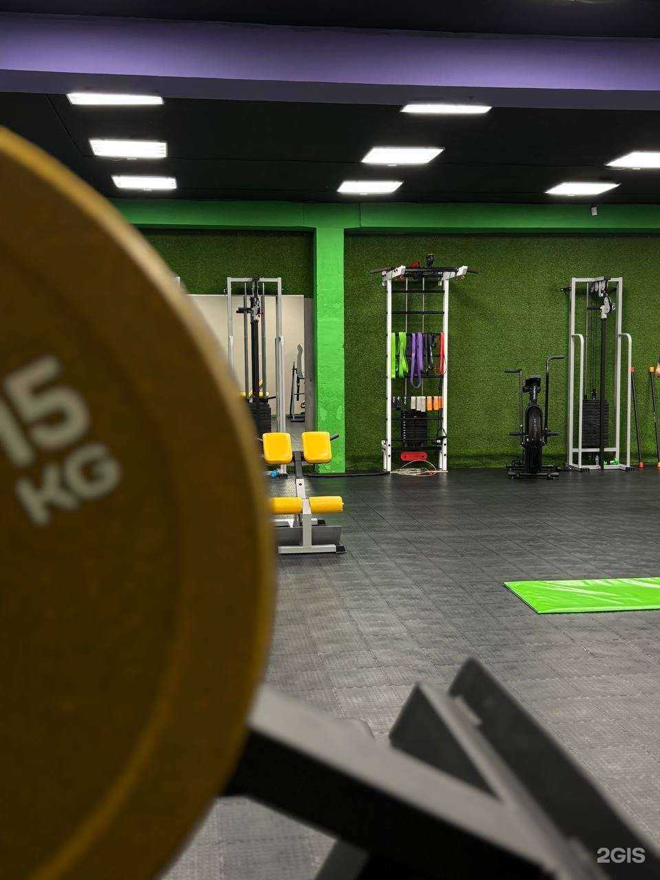 Отзывы на компанию Kinezis+ в Екатеринбурге c фото