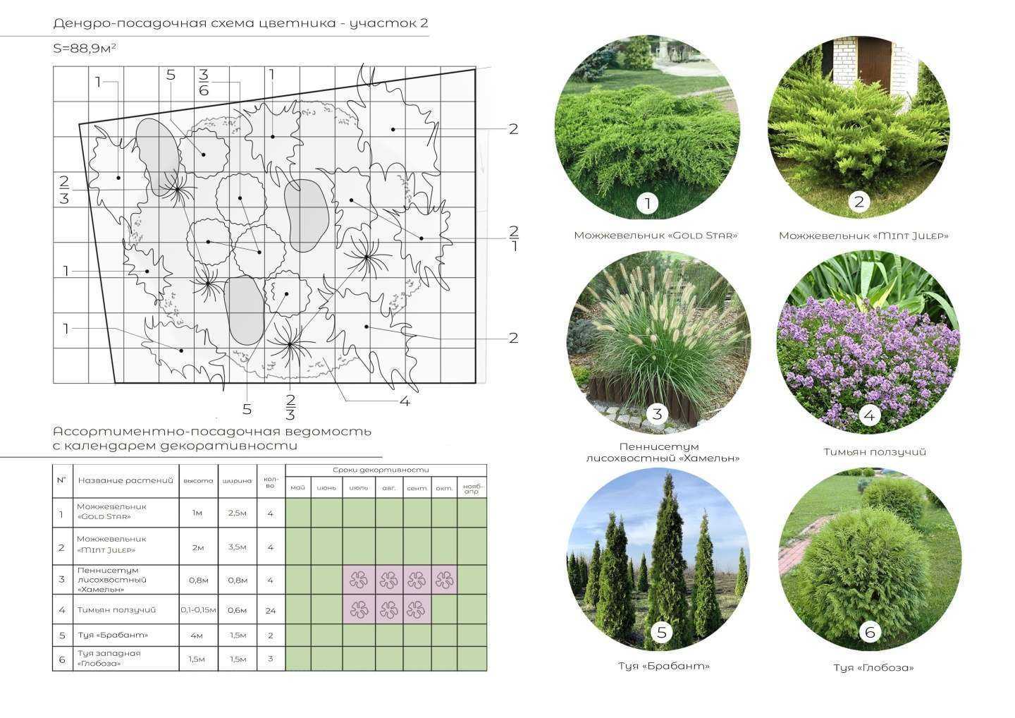 Отзывы на компанию Green Planet в Краснодаре c фото