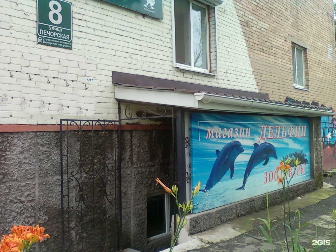 Отзывы на компанию Дельфин в г. Владивосток c фото