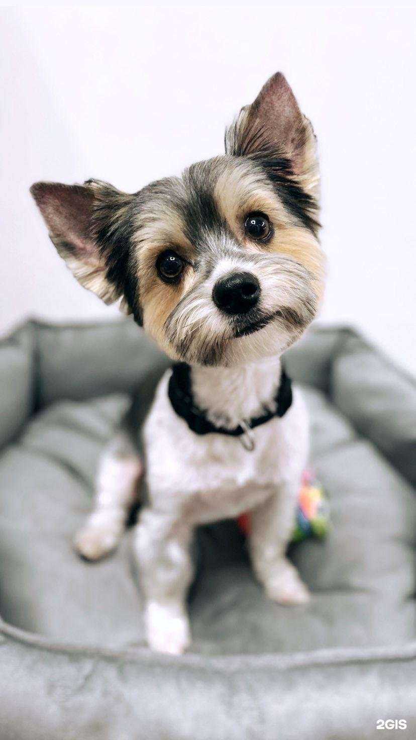 Отзывы на компанию Ляля в г. Новосибирск c фото