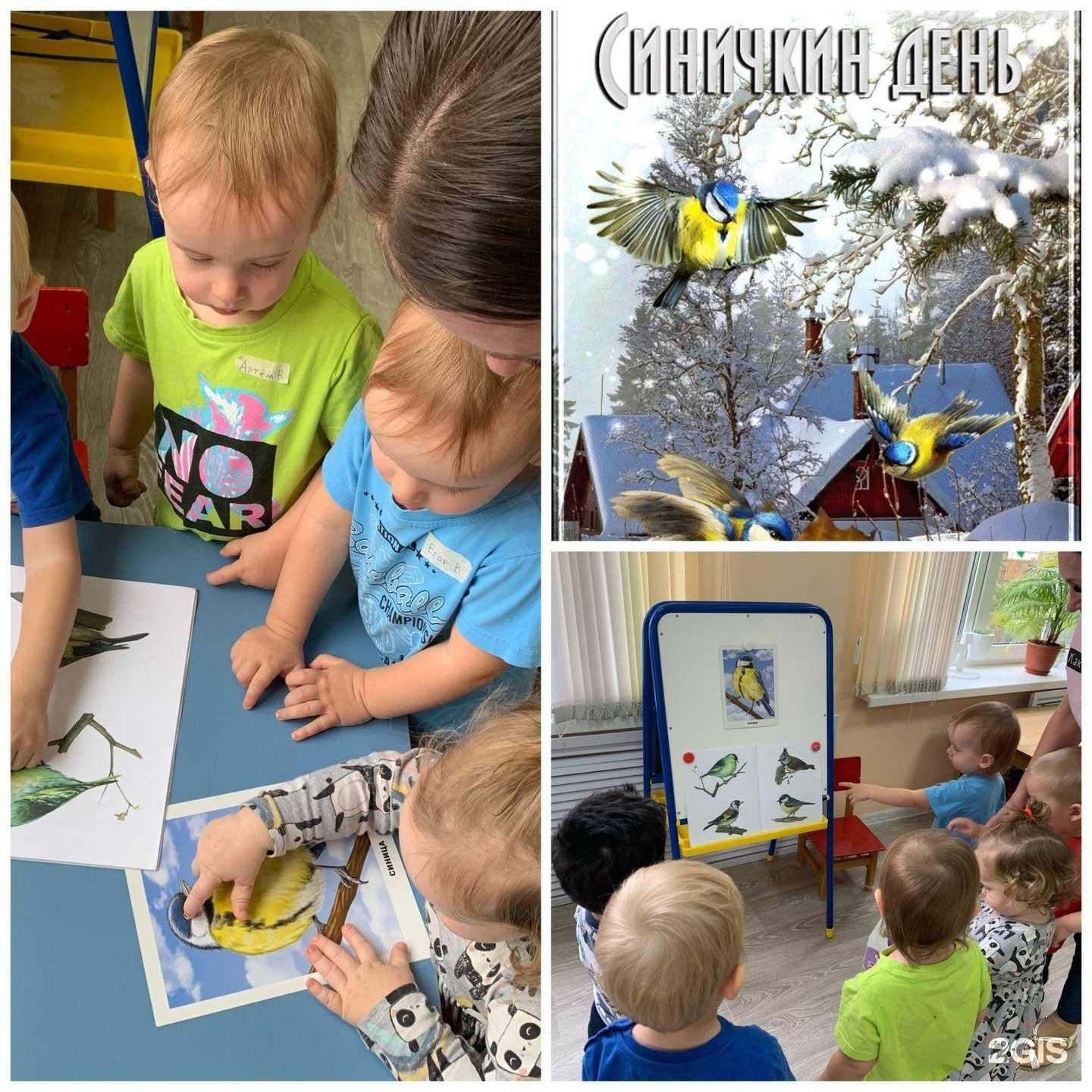 Отзывы на компанию Детский сад №70 в г. Тамбов c фото