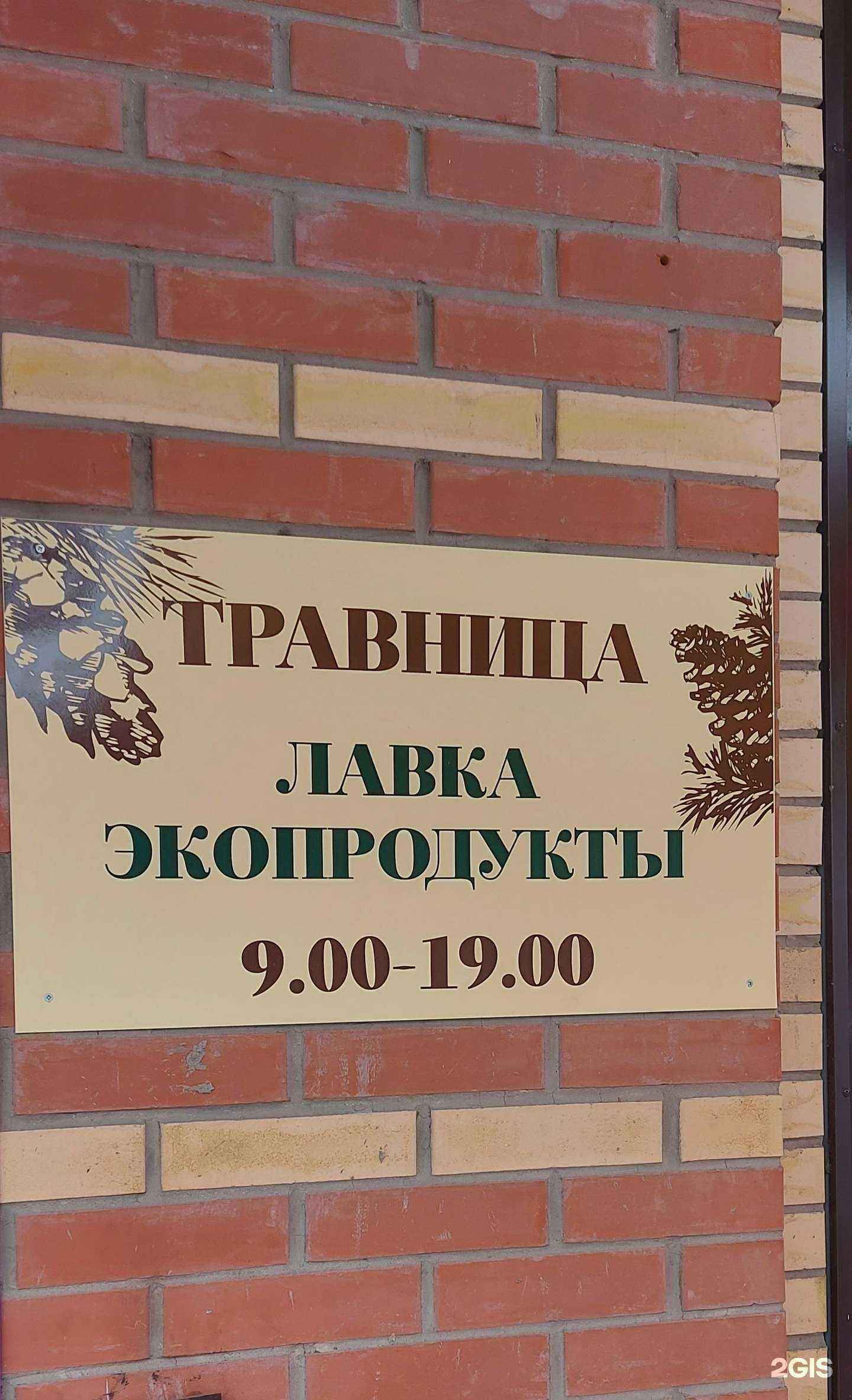 Отзывы на компанию Травница в Абакане c фото