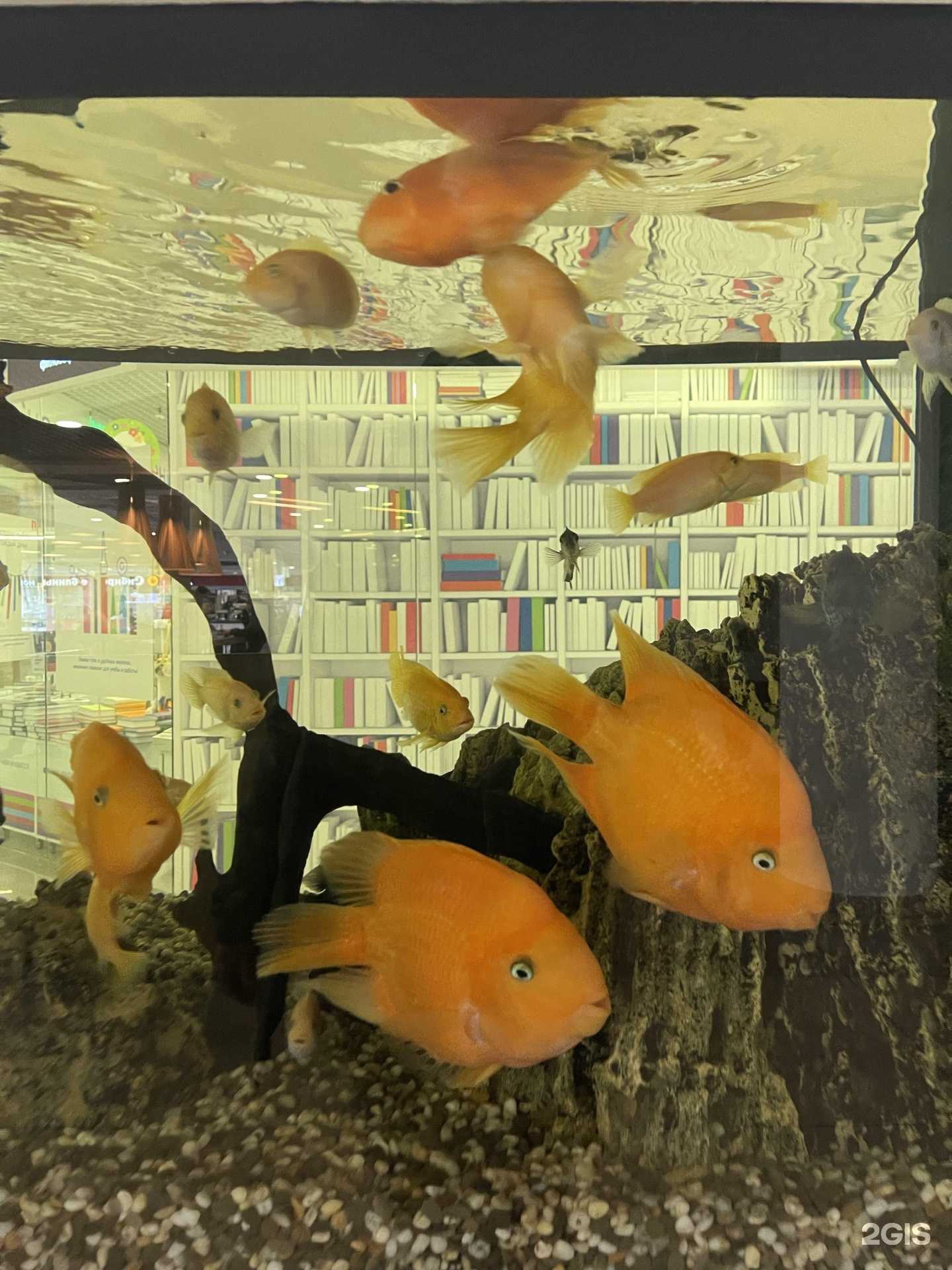 Отзывы на компанию Море желаний в Томске c фото