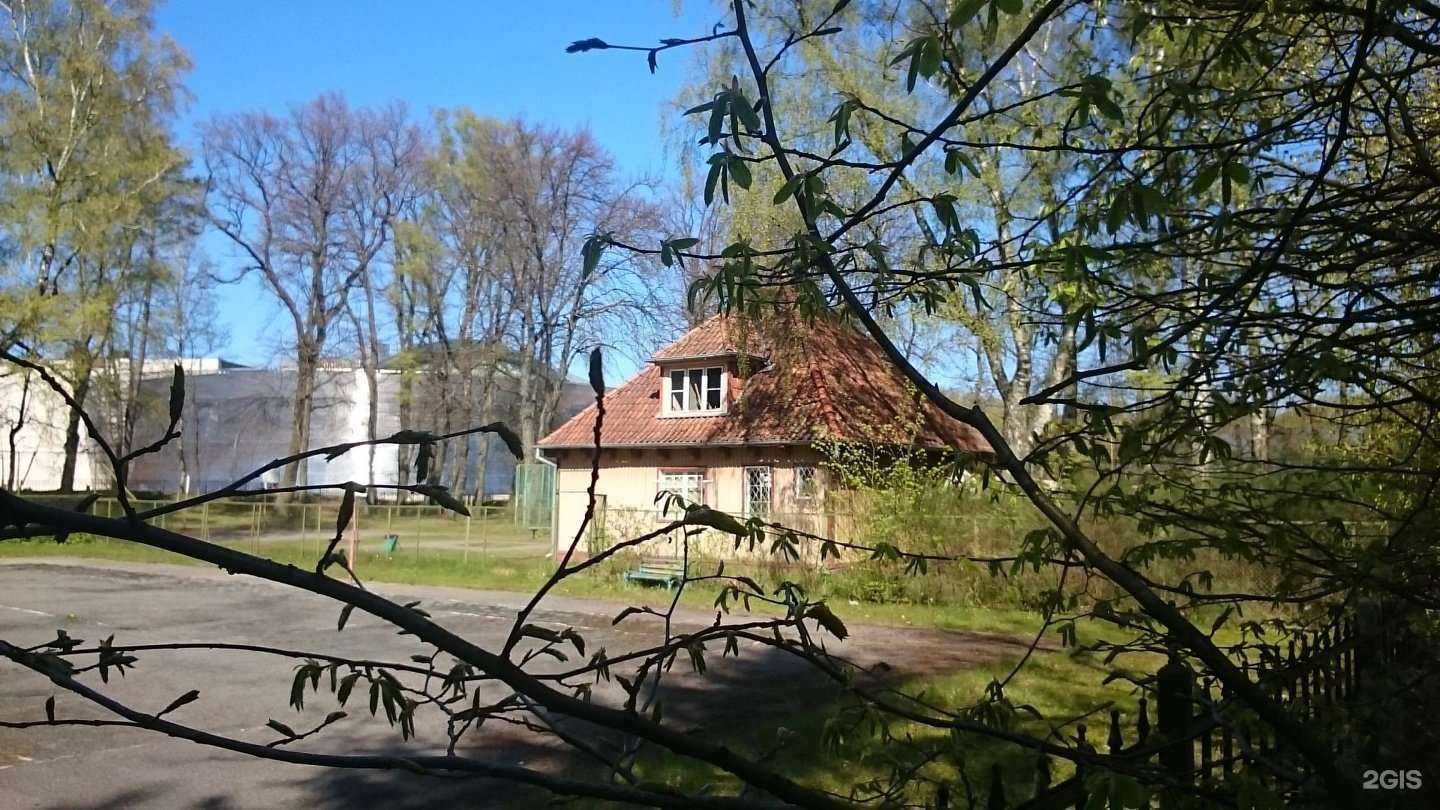 Отзывы на компанию Корт  в Светлогорске c фото